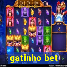 gatinho bet